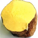 Yellow Yam