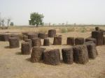 Senegambia Stone Circles at Sine Ngayene (source: Les Cercles Megalithiques)