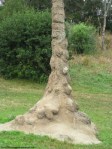 Une termitiere (A termite mound)