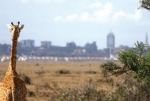 Nairobi from Nairobi National Park