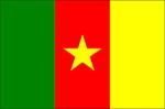 Flag of Cameroon