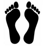 Feet / Pied / Pe
