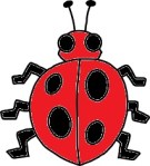 Punaise / Bug