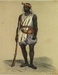 Warrior from the Waalo Kingdom, 1846