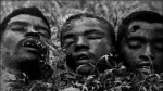 Decapitated Heads during the genocide in Cameroon