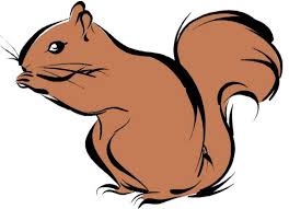 Squirrel1