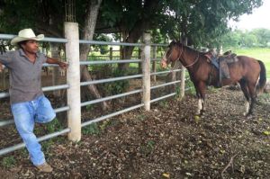 Afro_mexican_3_Black Cowboy