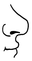 nose1