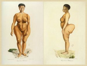 Sawtche_(dite_Sarah_Saartjie_Baartman),_étudiée_comme_Femme_de_race_Bôchismann,_Histoire_Naturelle_des_Mammifères,_tome_II,_Cuvier,_Werner,_de_Lasteyrie