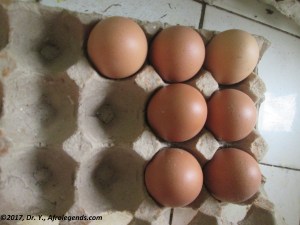 eggs