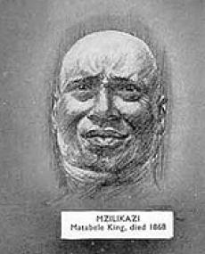 mzilikazi