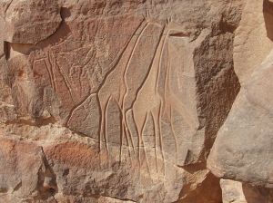 Sahara petroglyph in the Fezzan giraffes