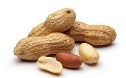 Peanut_1