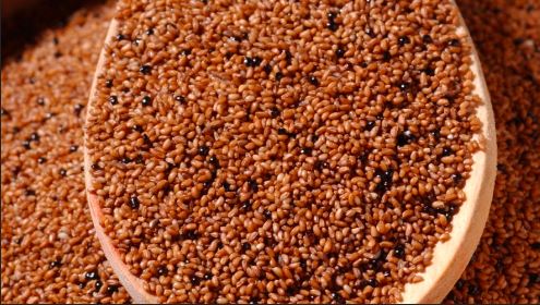 Ethiopia_Teff3